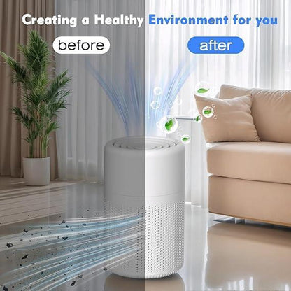 HOME TRAVEL SIZE AIR PURIFIER